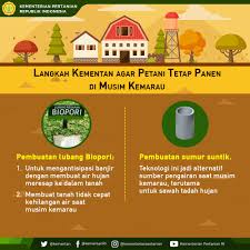 Musim Kemarau Tantangan dan Solusi untuk Pertanian&Kehidupan